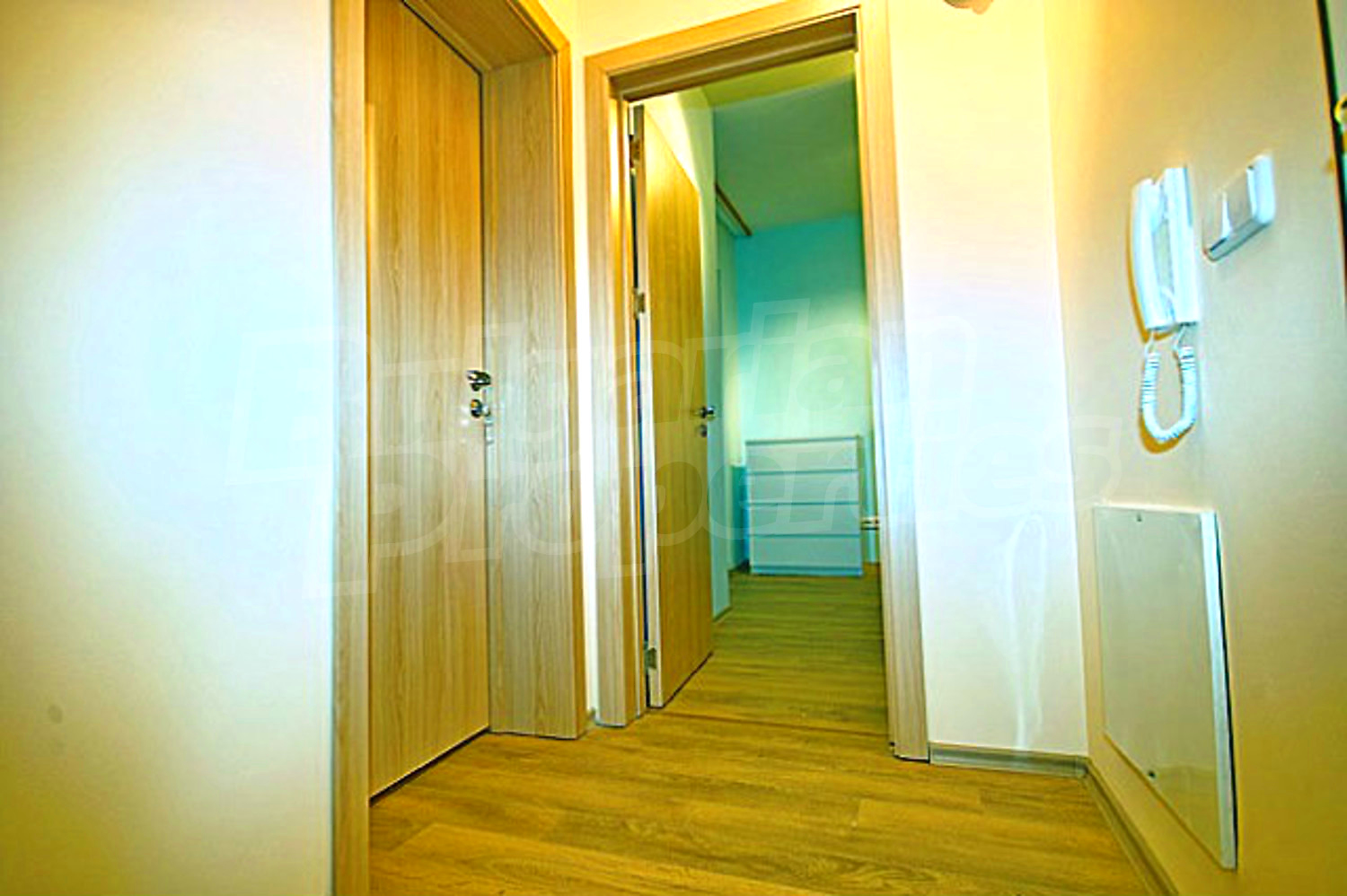 Gallery Picture 12