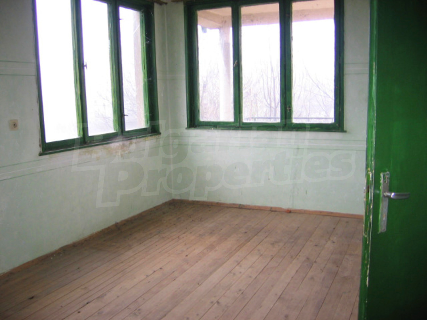 Gallery Picture 6