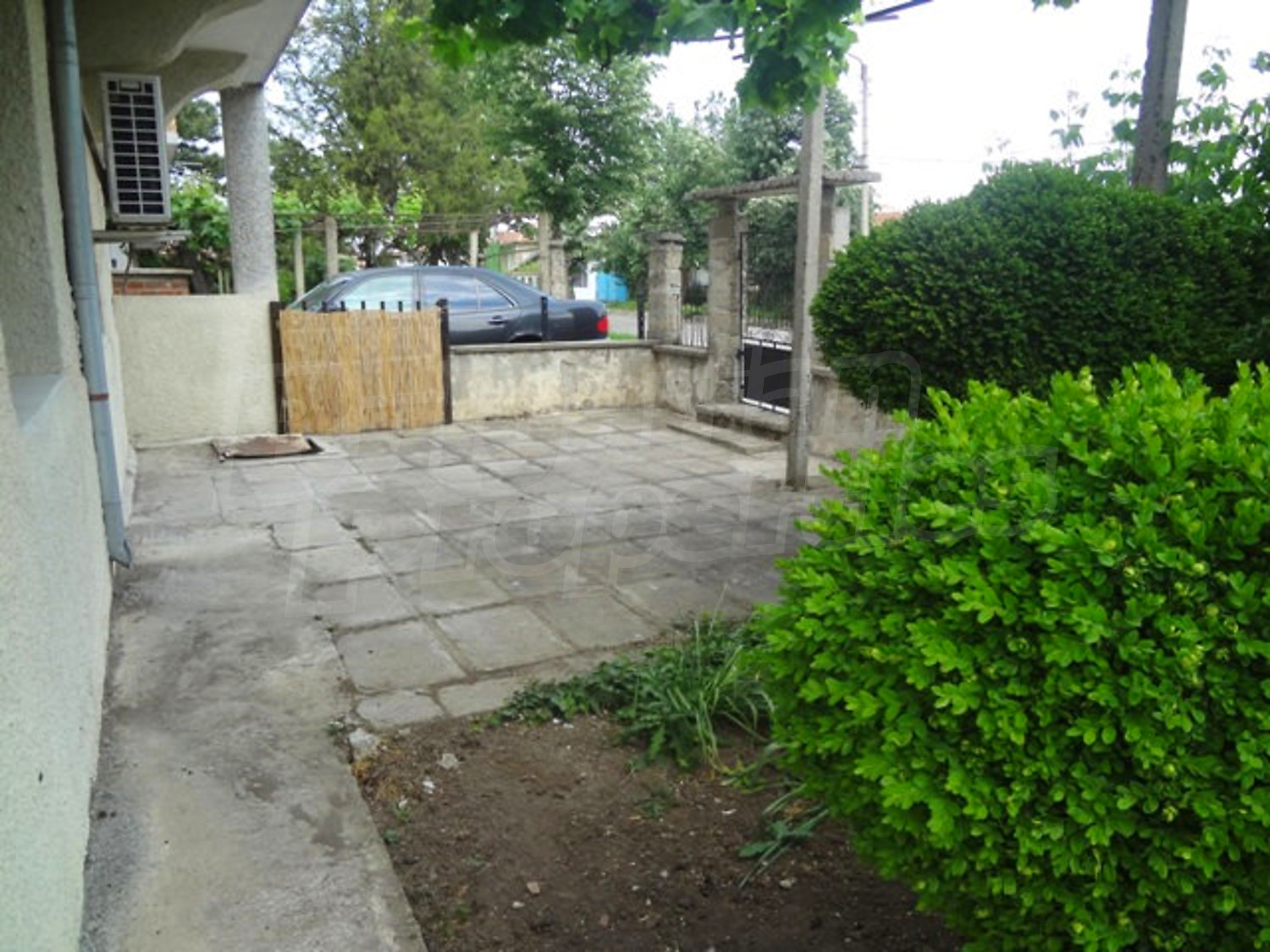 Gallery Picture 43