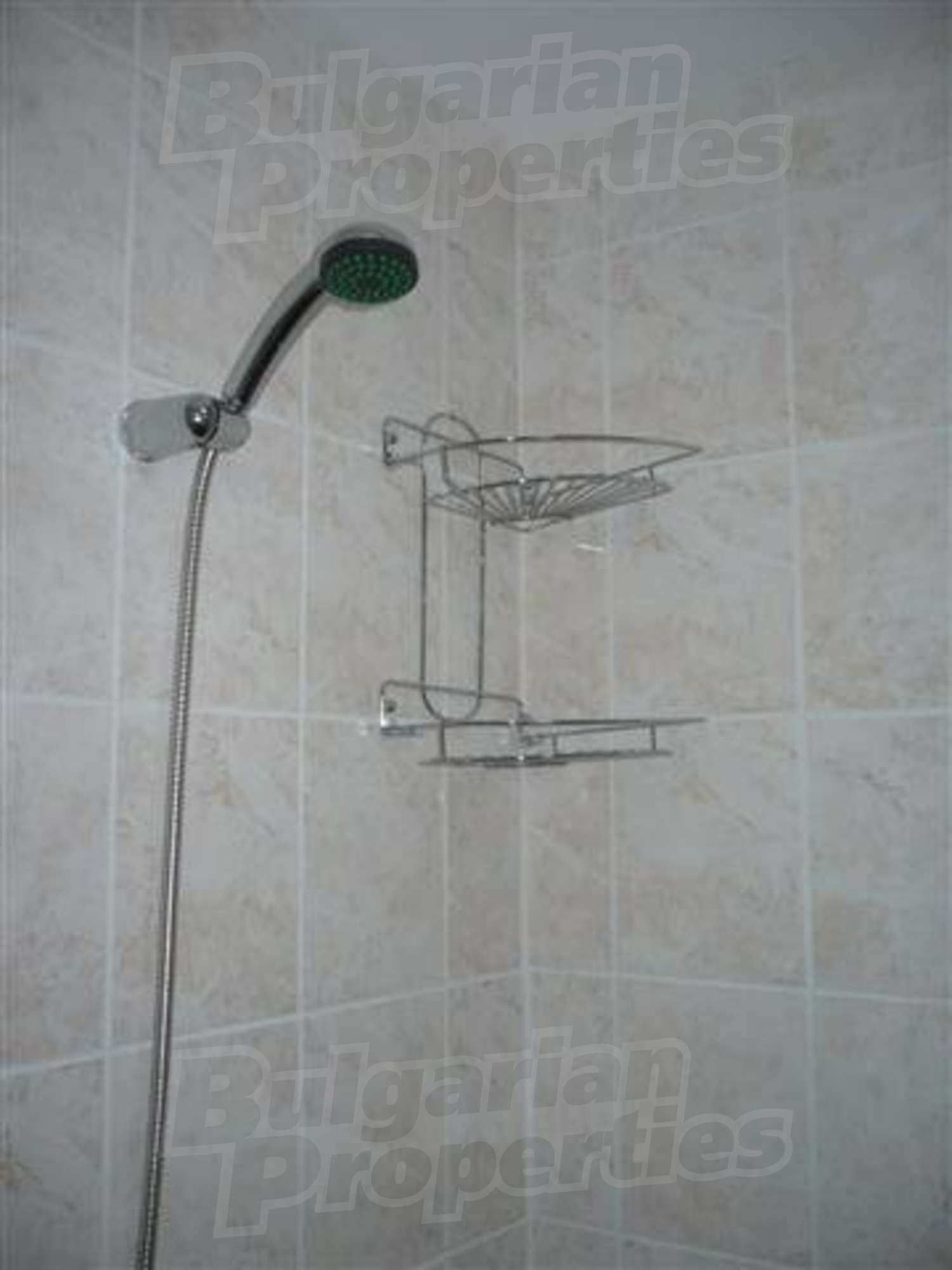 Gallery Picture 10