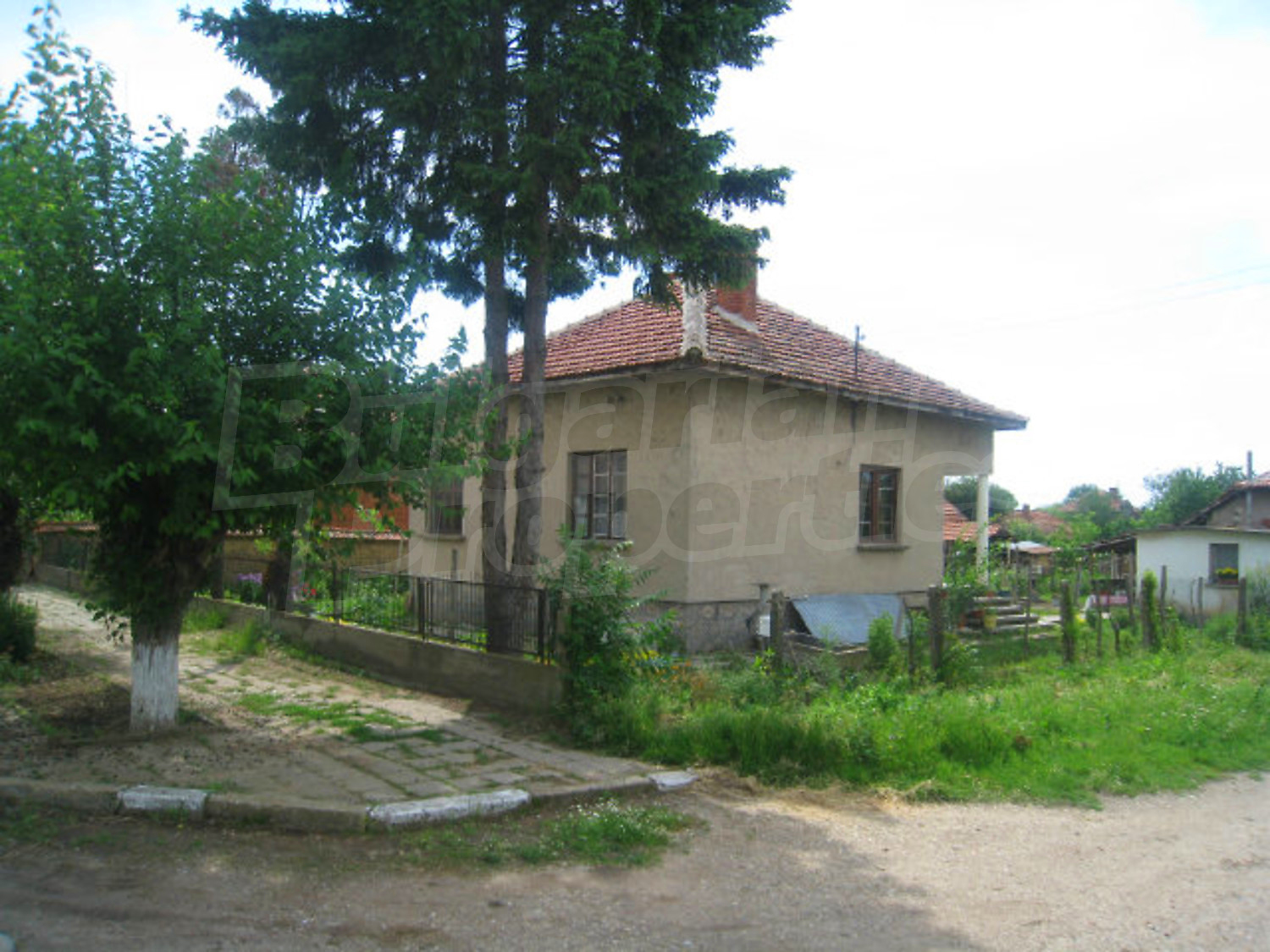 Gallery Picture 19