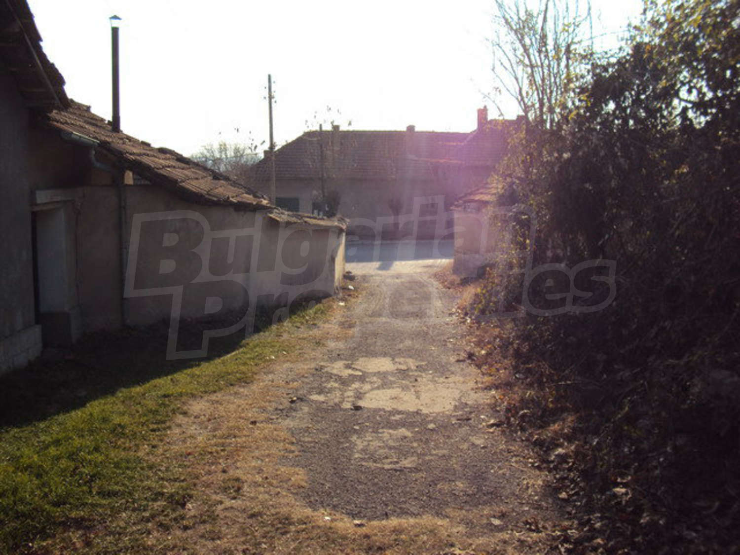 Gallery Picture 21