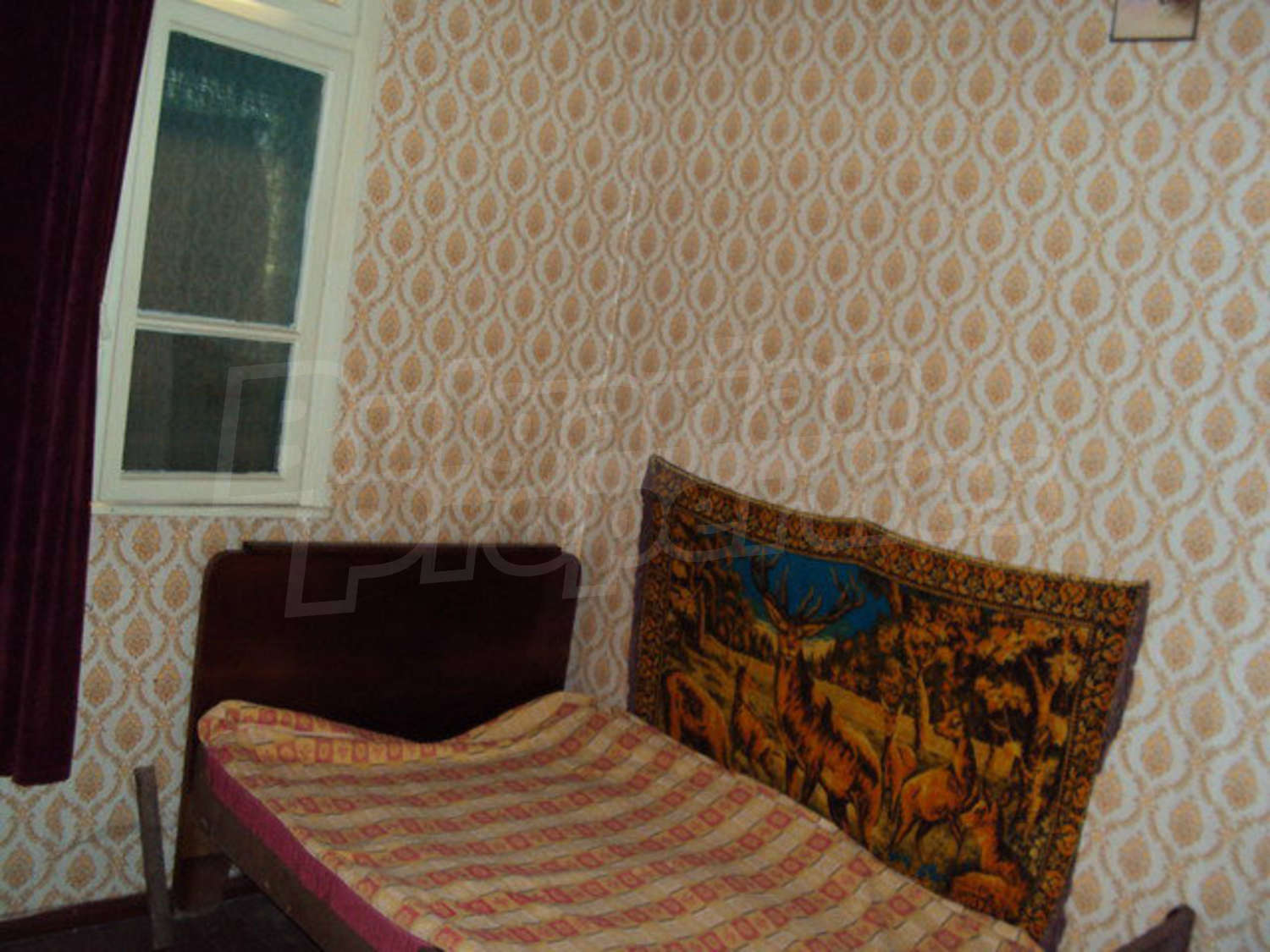 Gallery Picture 31