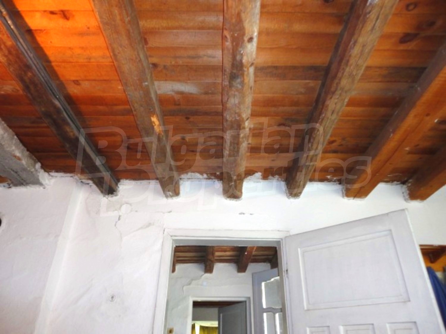 Gallery Picture 16