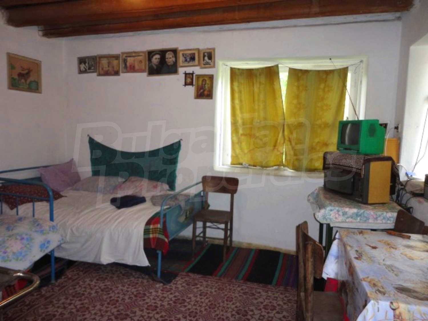 Gallery Picture 17
