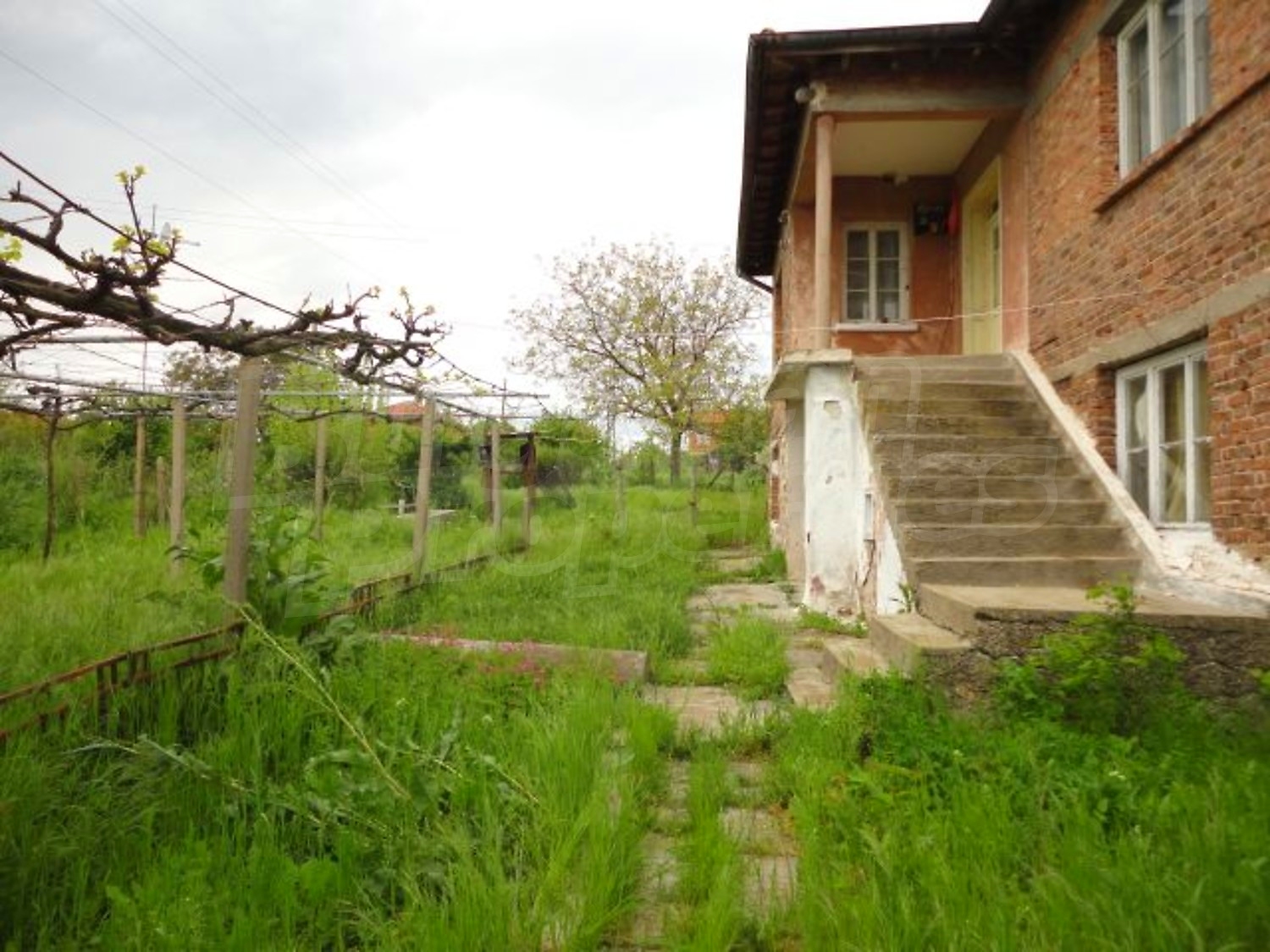 Gallery Picture 34