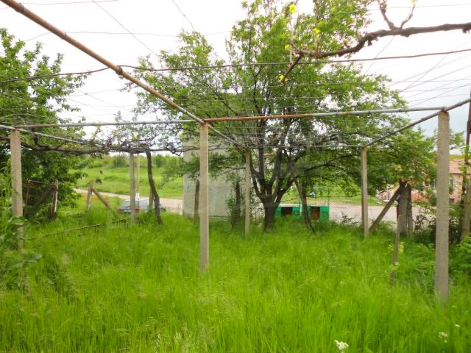 Gallery Picture 35