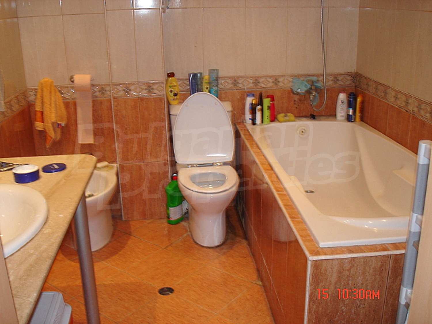 Gallery Picture 11