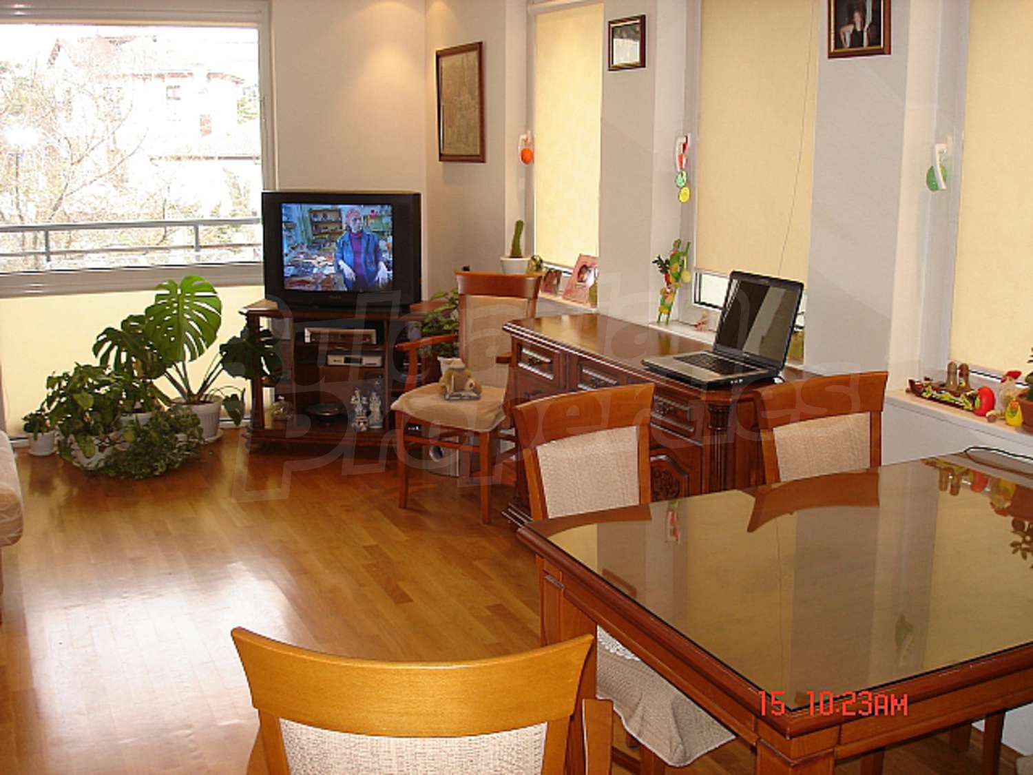 Gallery Picture 7