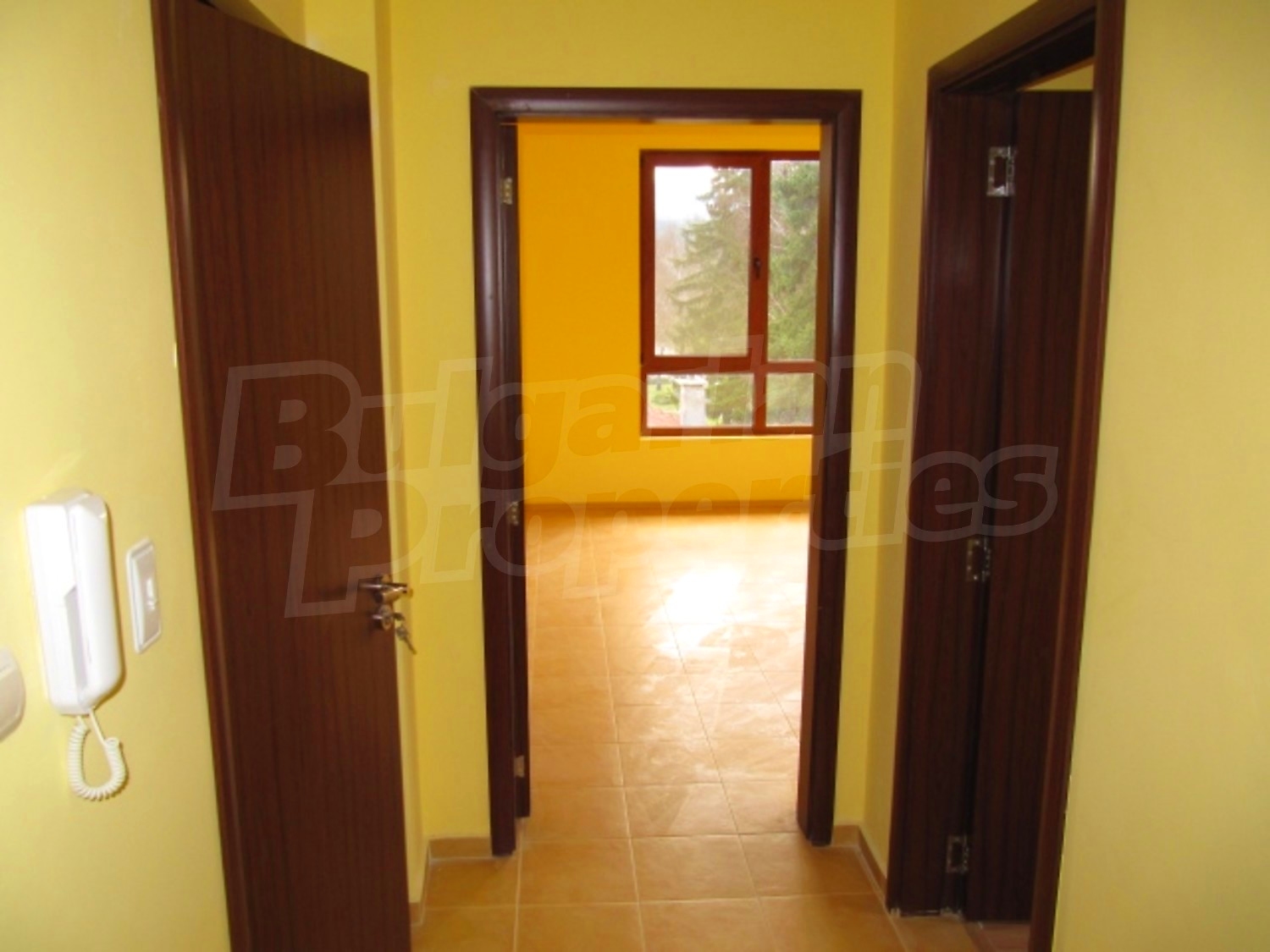 Gallery Picture 10