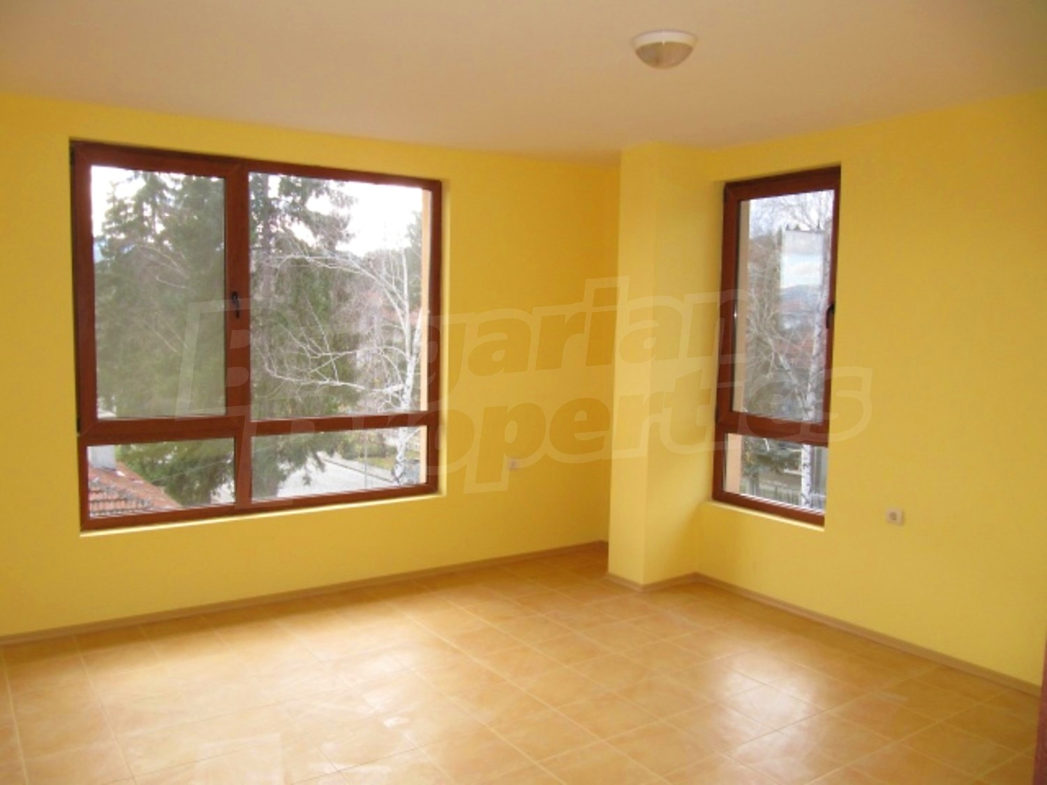 Gallery Picture 11