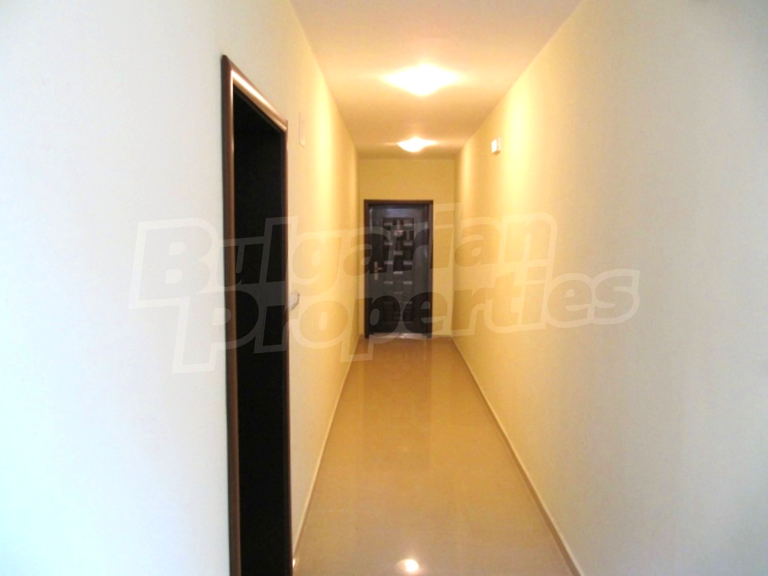 Gallery Picture 7