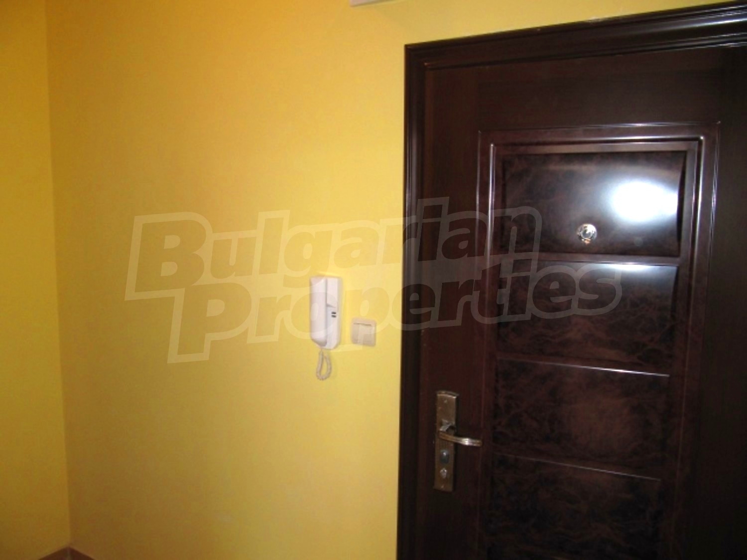 Gallery Picture 8