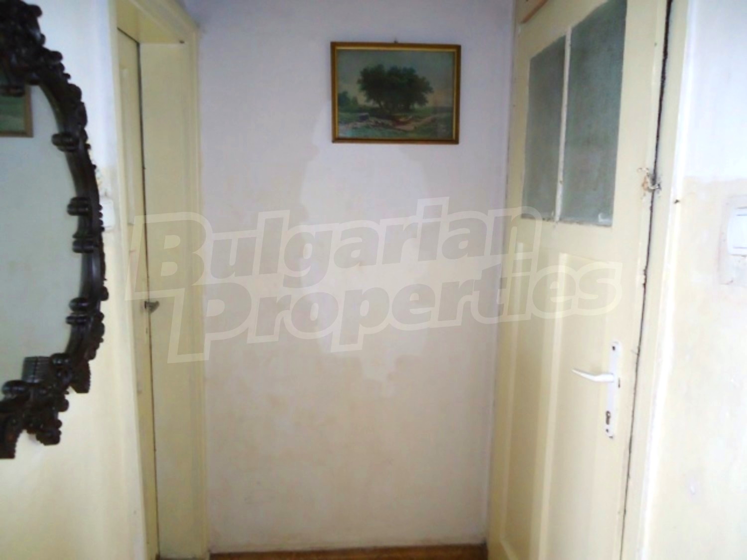 Gallery Picture 6