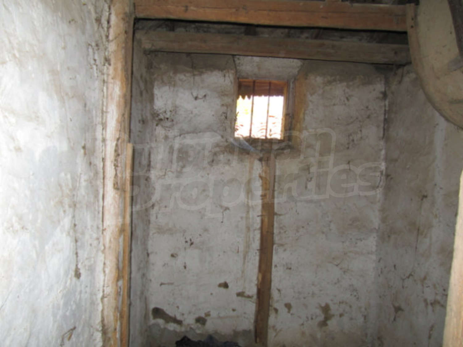 Gallery Picture 11