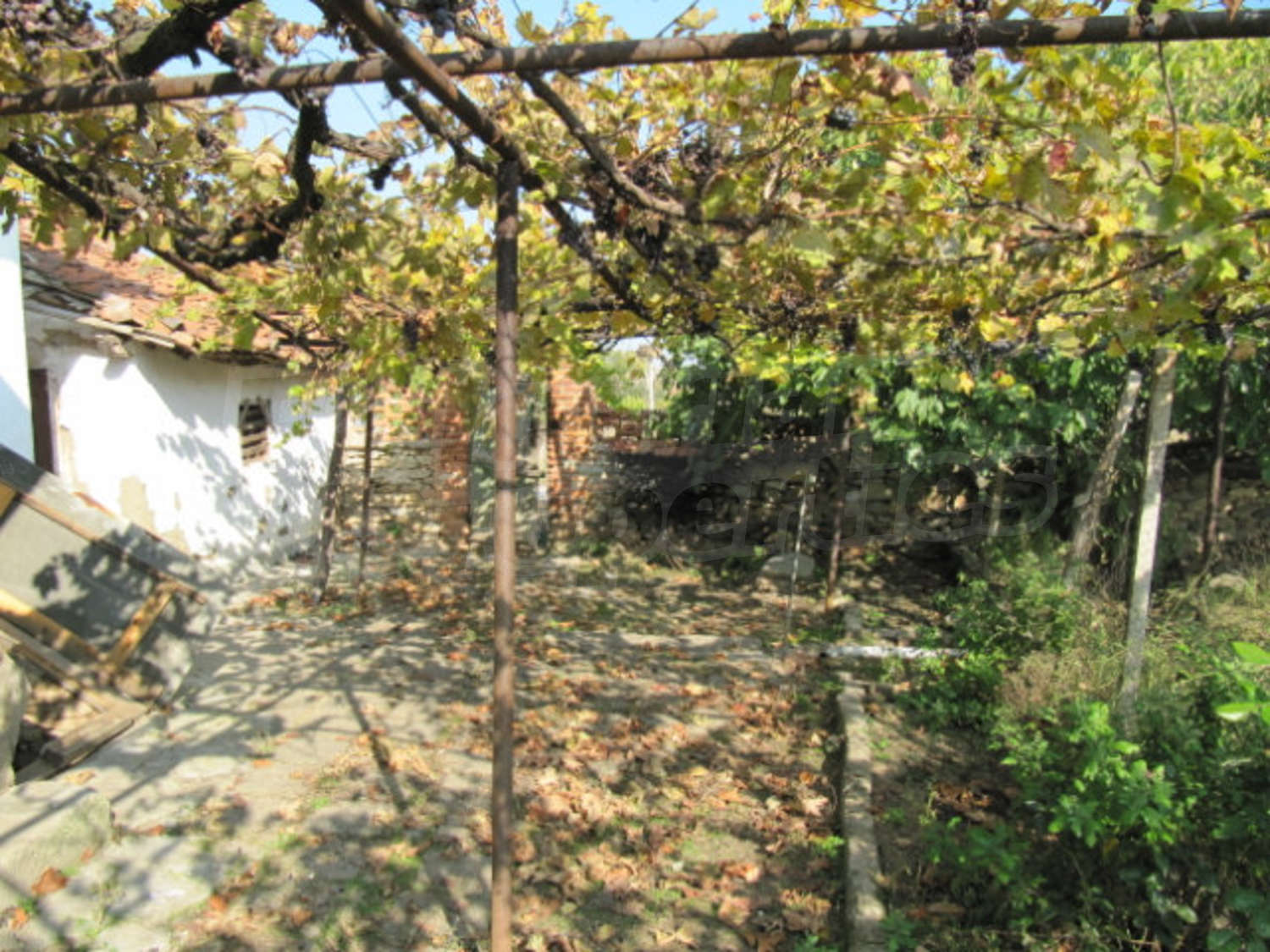 Gallery Picture 18
