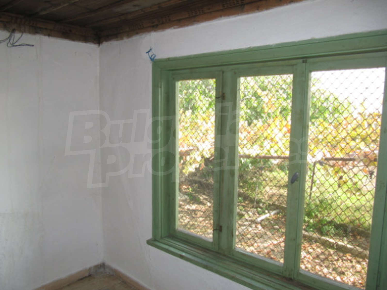 Gallery Picture 7