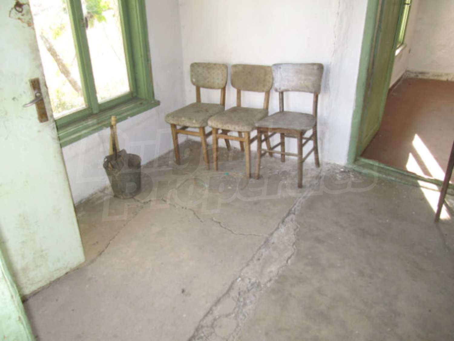 Gallery Picture 8