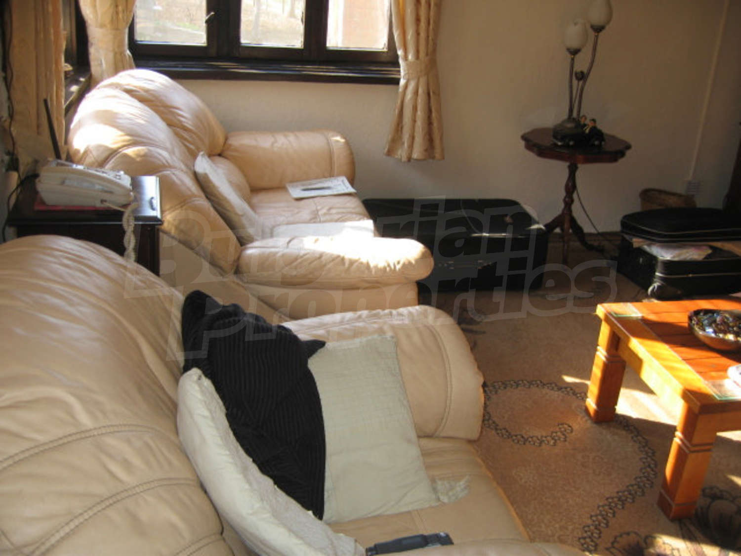 Gallery Picture 15