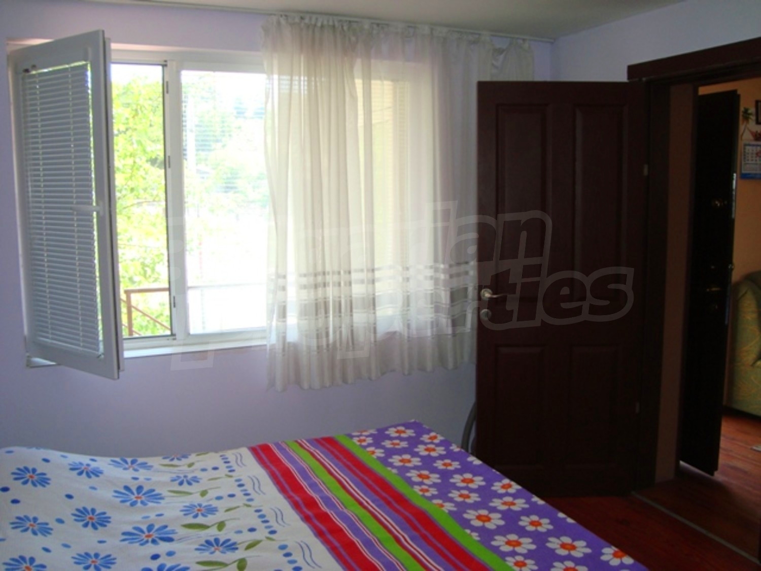 Gallery Picture 17