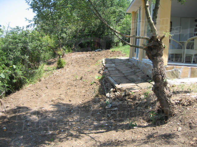 Gallery Picture 17