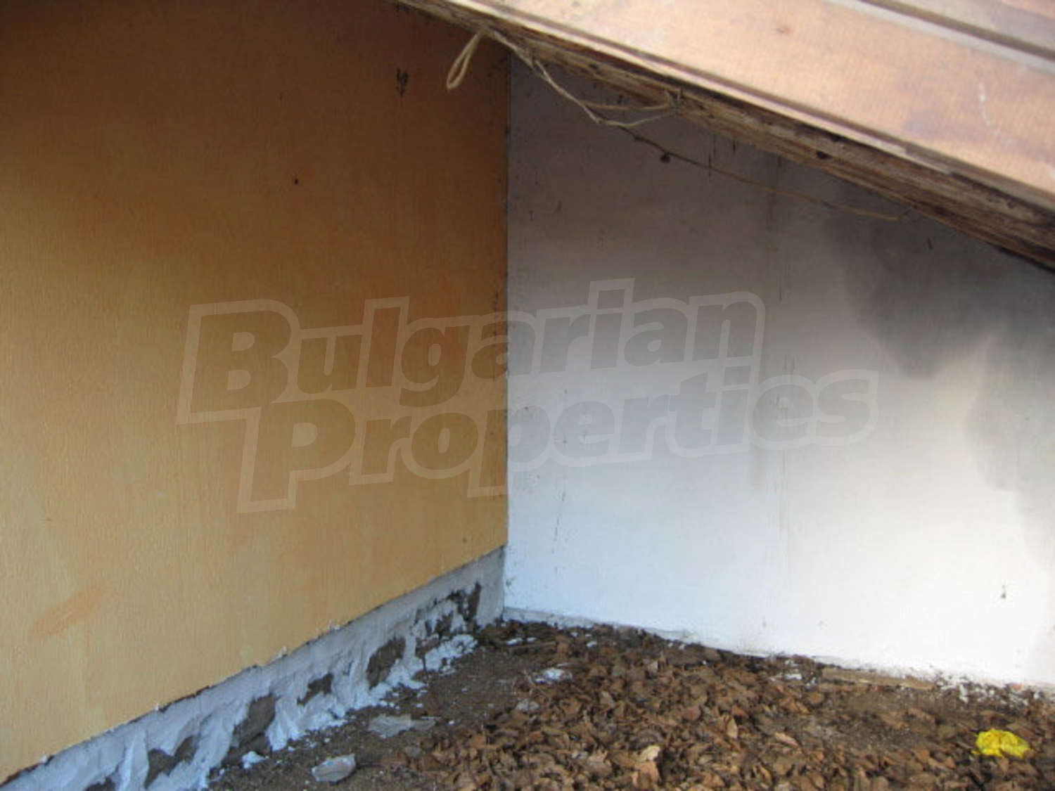 Gallery Picture 37