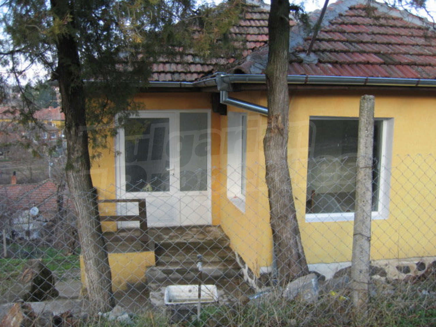 Gallery Picture 41