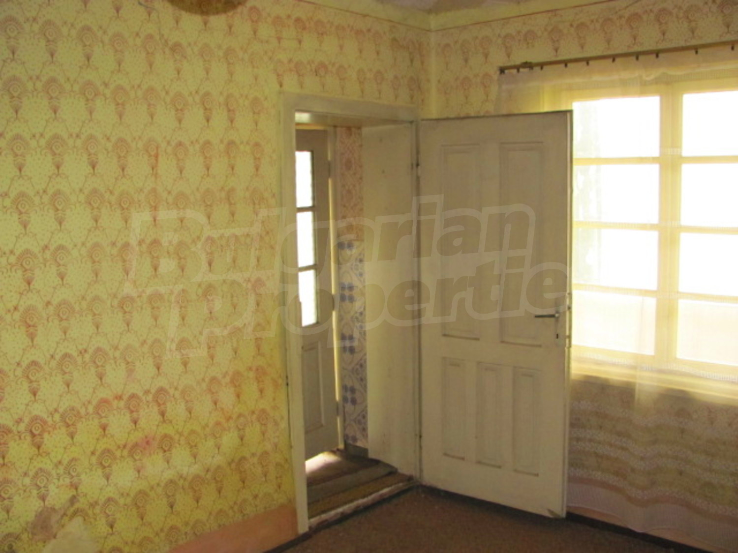 Gallery Picture 7