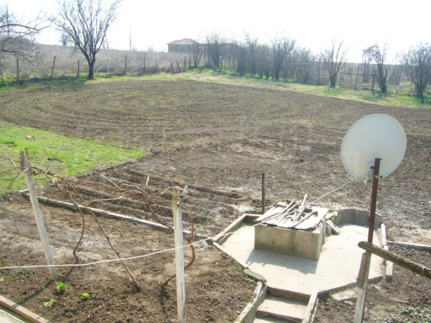 Gallery Picture 14