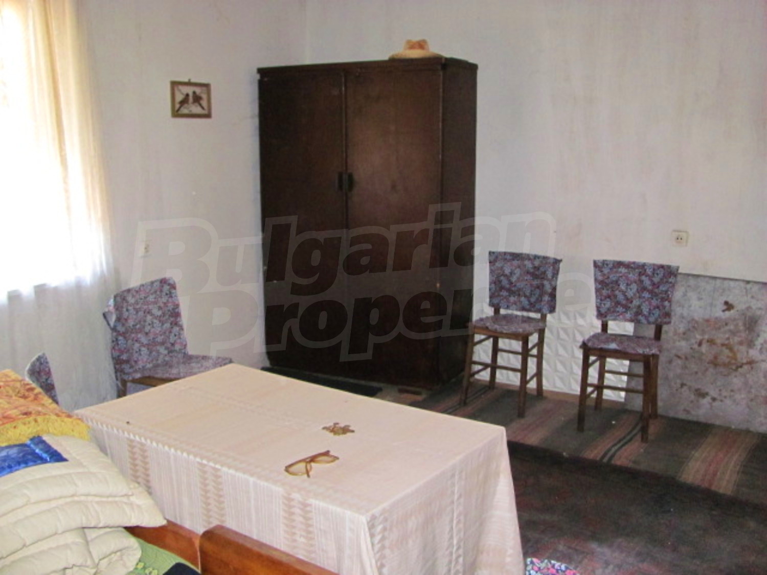 Gallery Picture 14