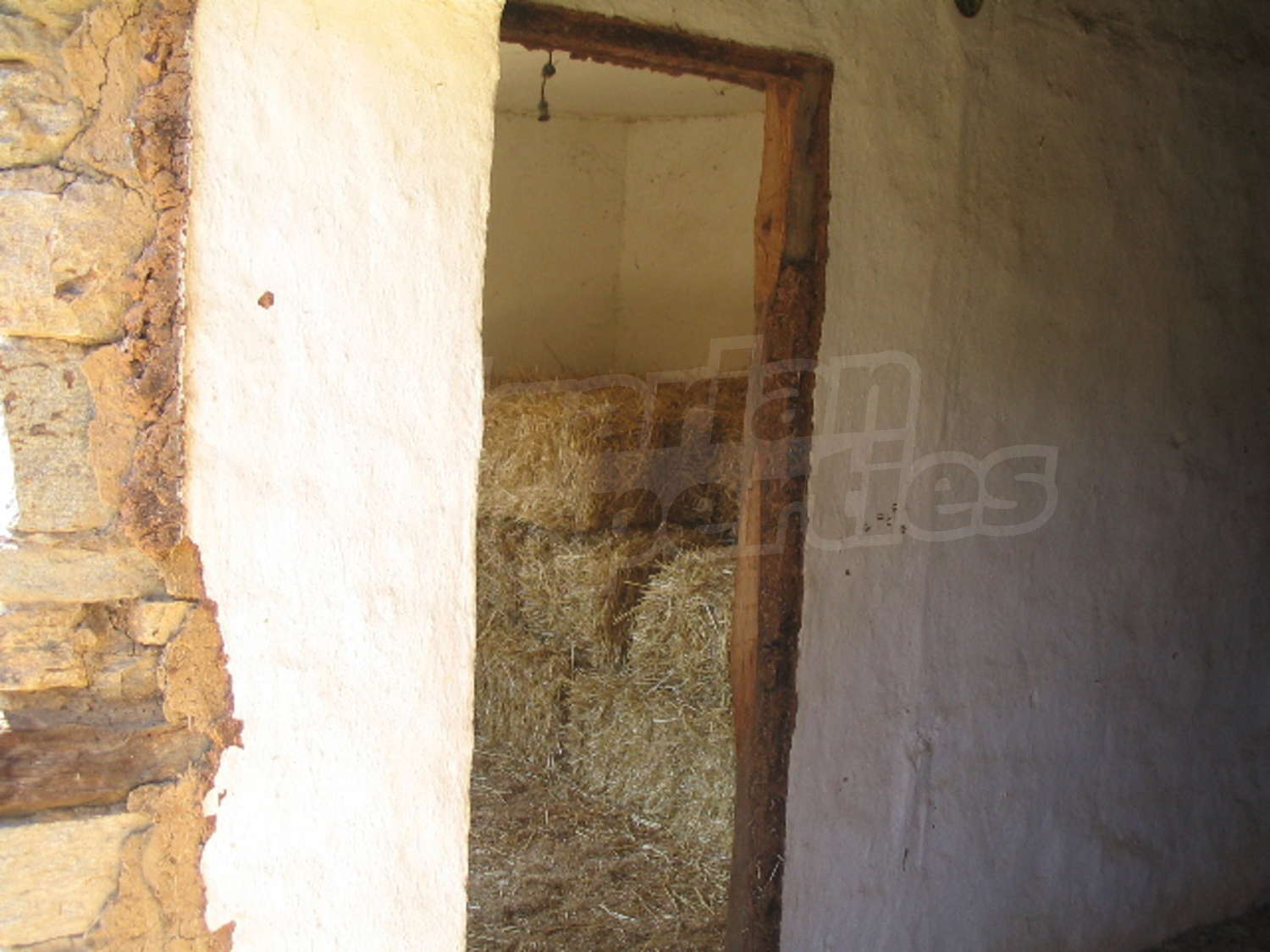 Gallery Picture 10