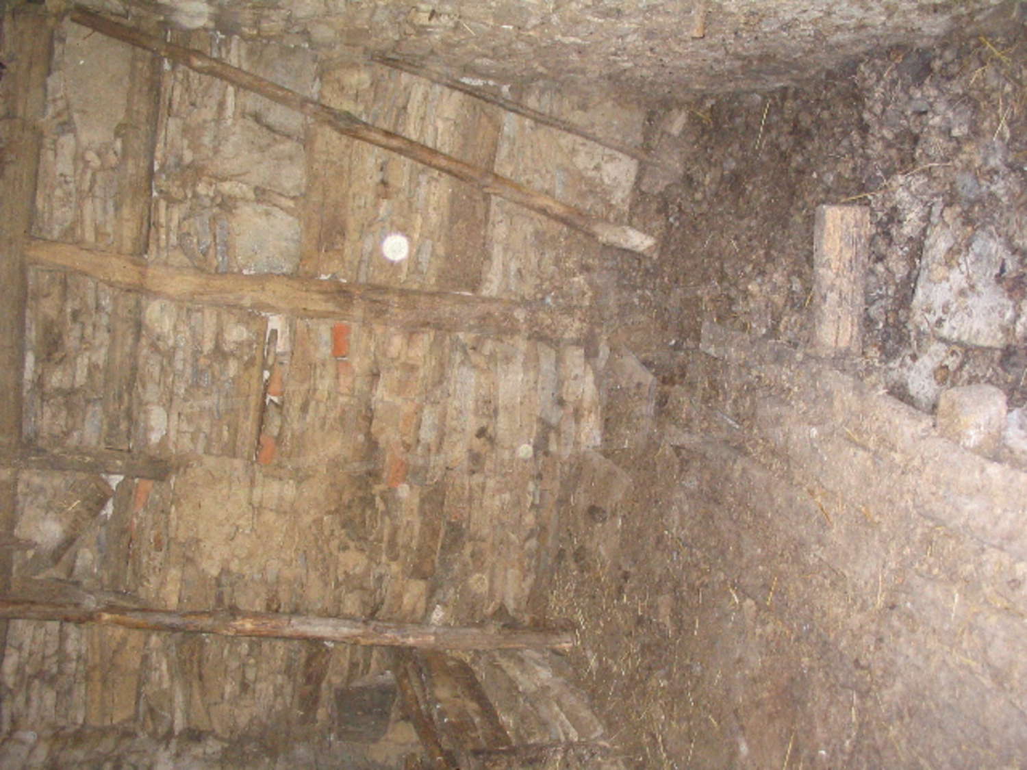 Gallery Picture 11