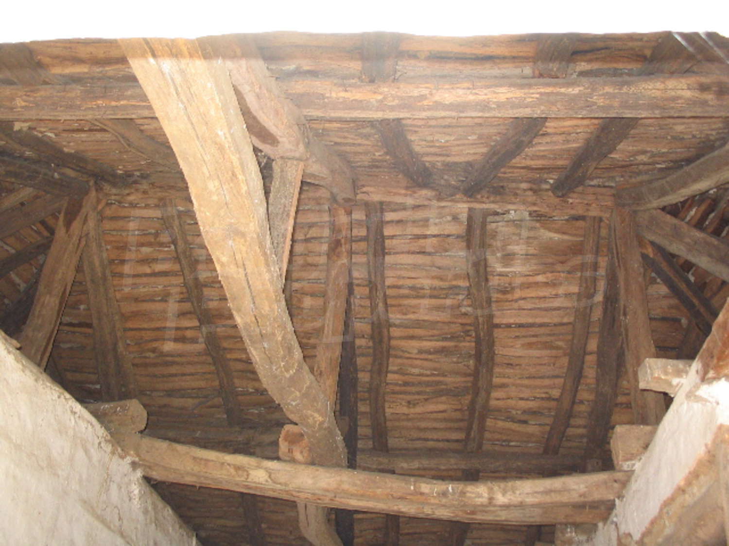Gallery Picture 12