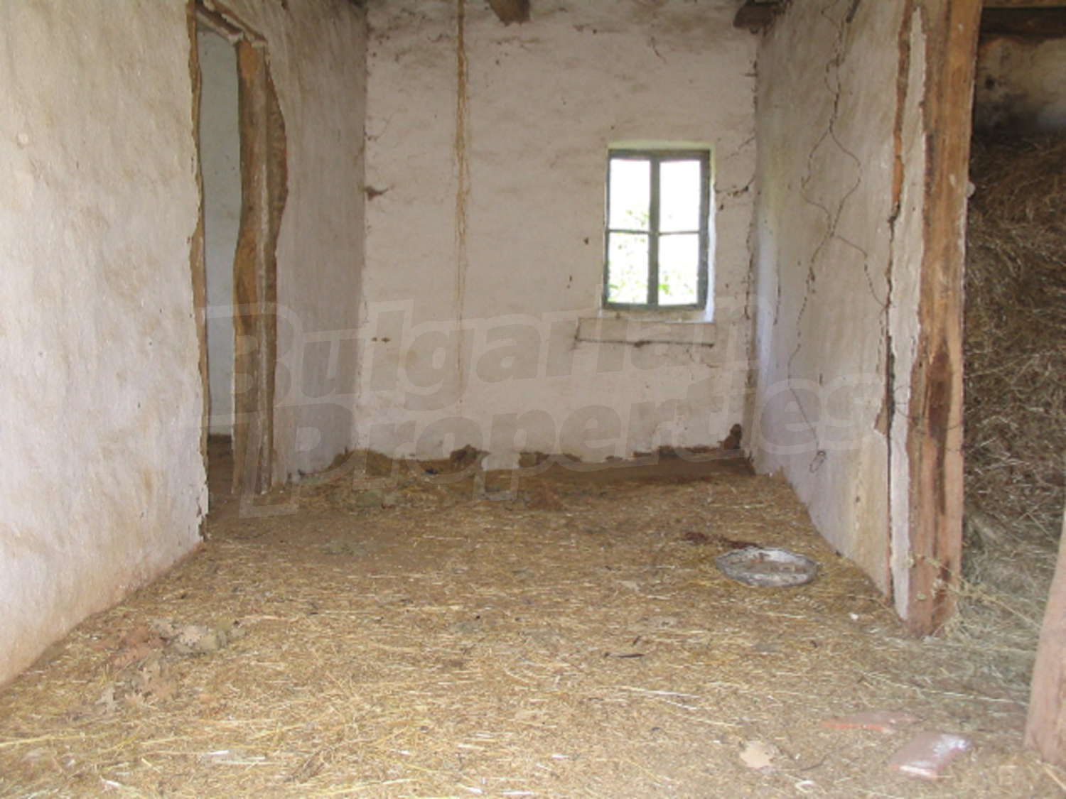 Gallery Picture 9