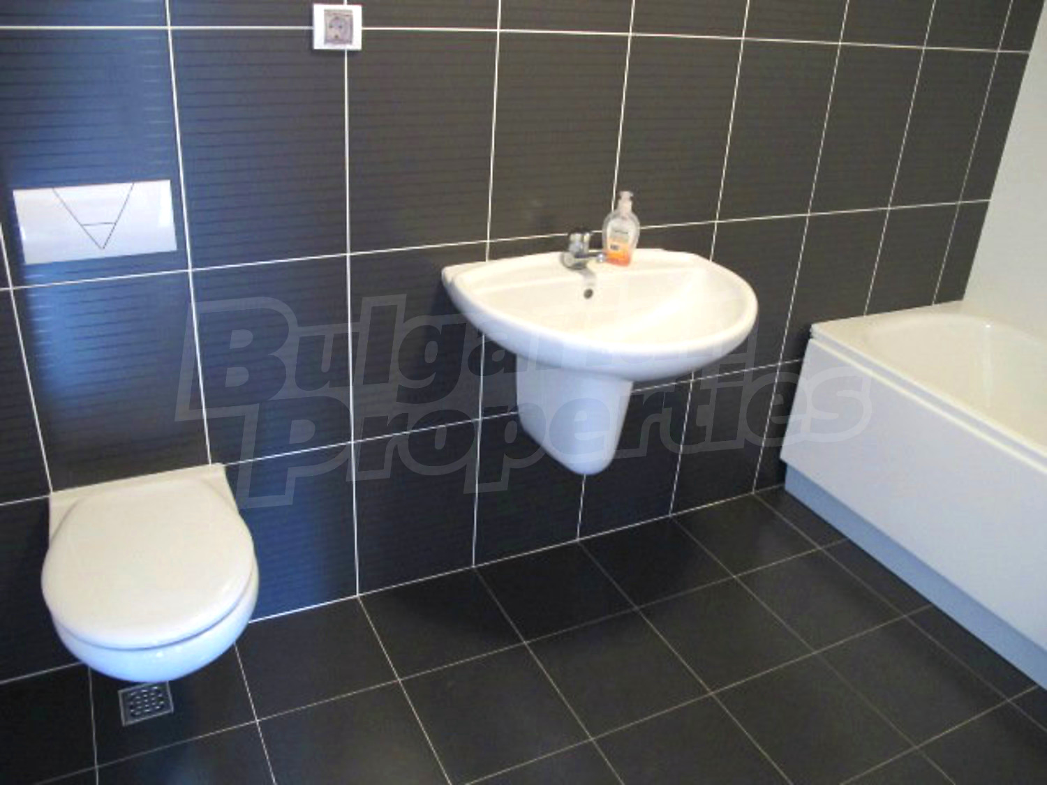 Gallery Picture 18