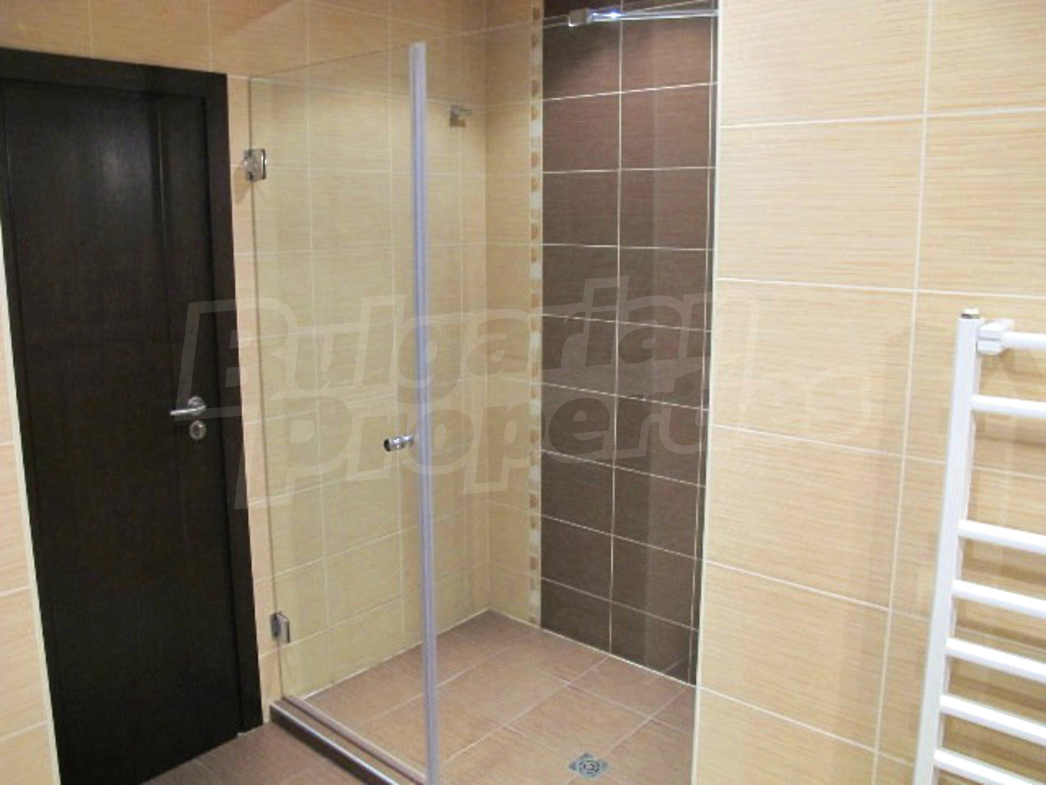Gallery Picture 26