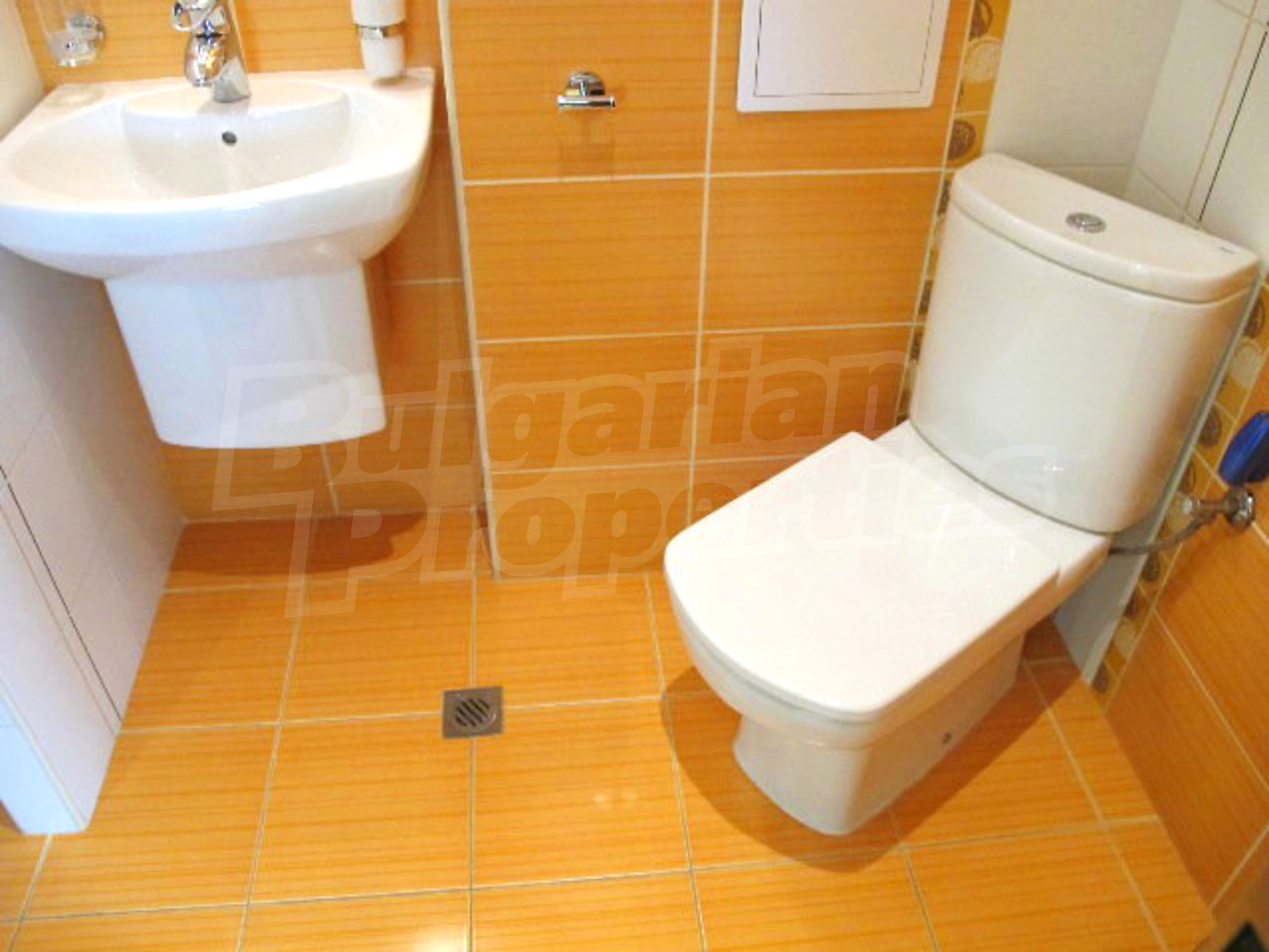 Gallery Picture 27
