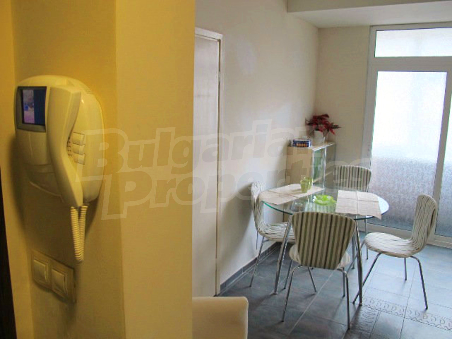 Gallery Picture 26