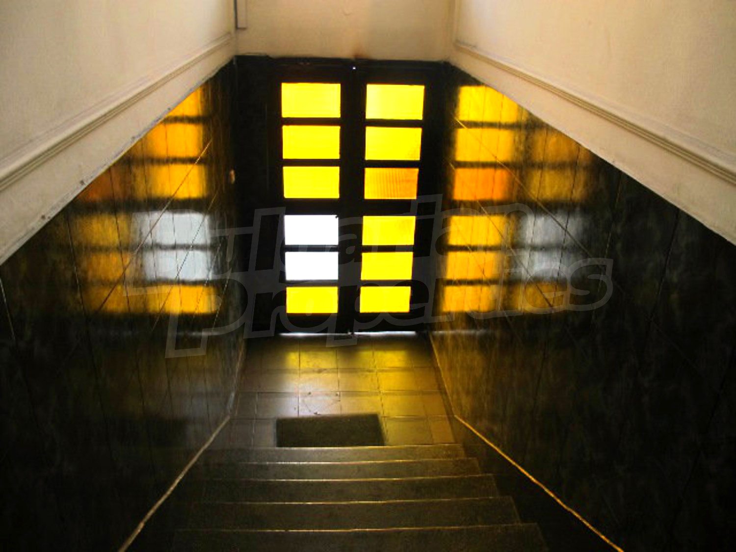 Gallery Picture 6