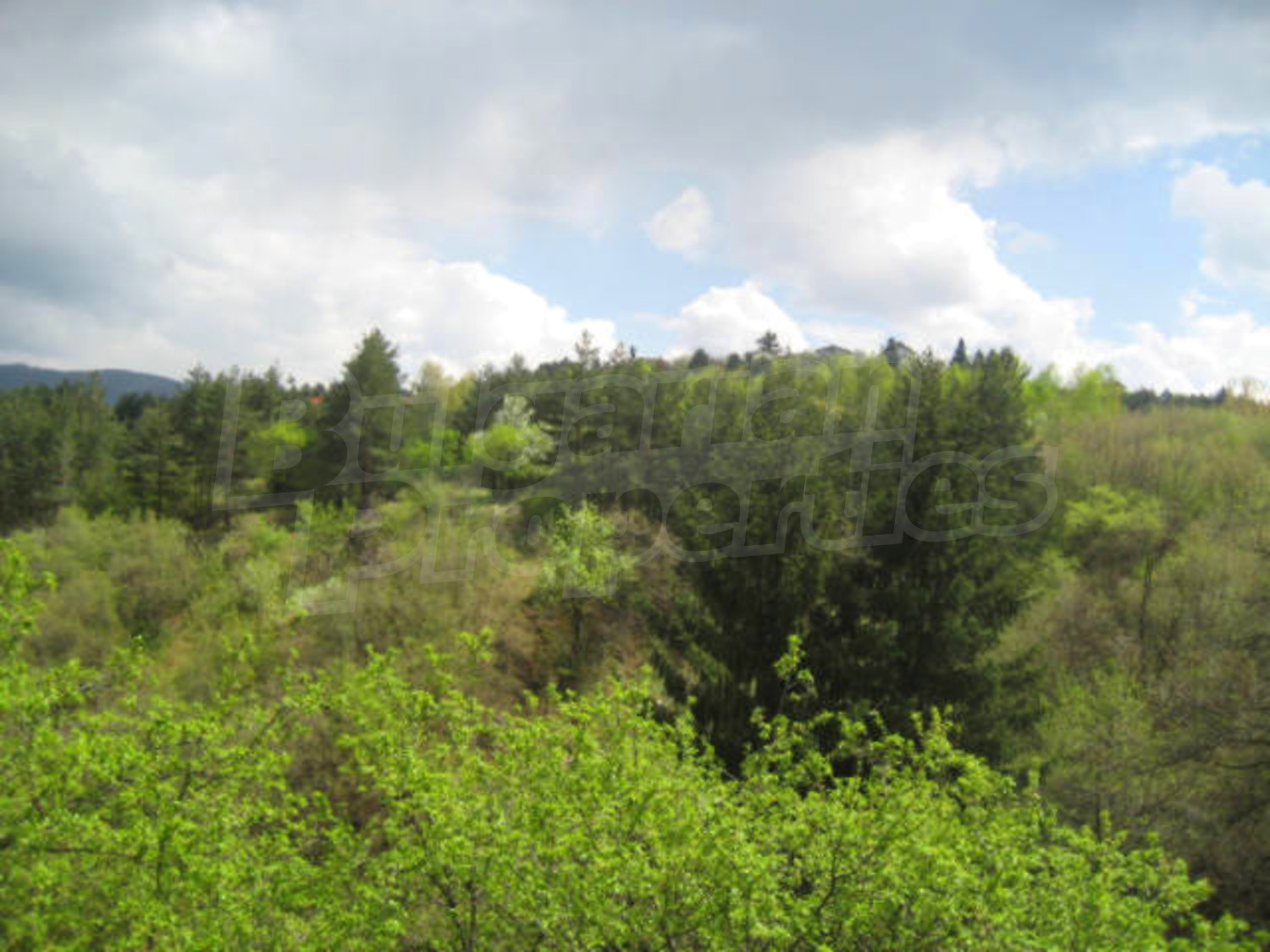 Gallery Picture 10