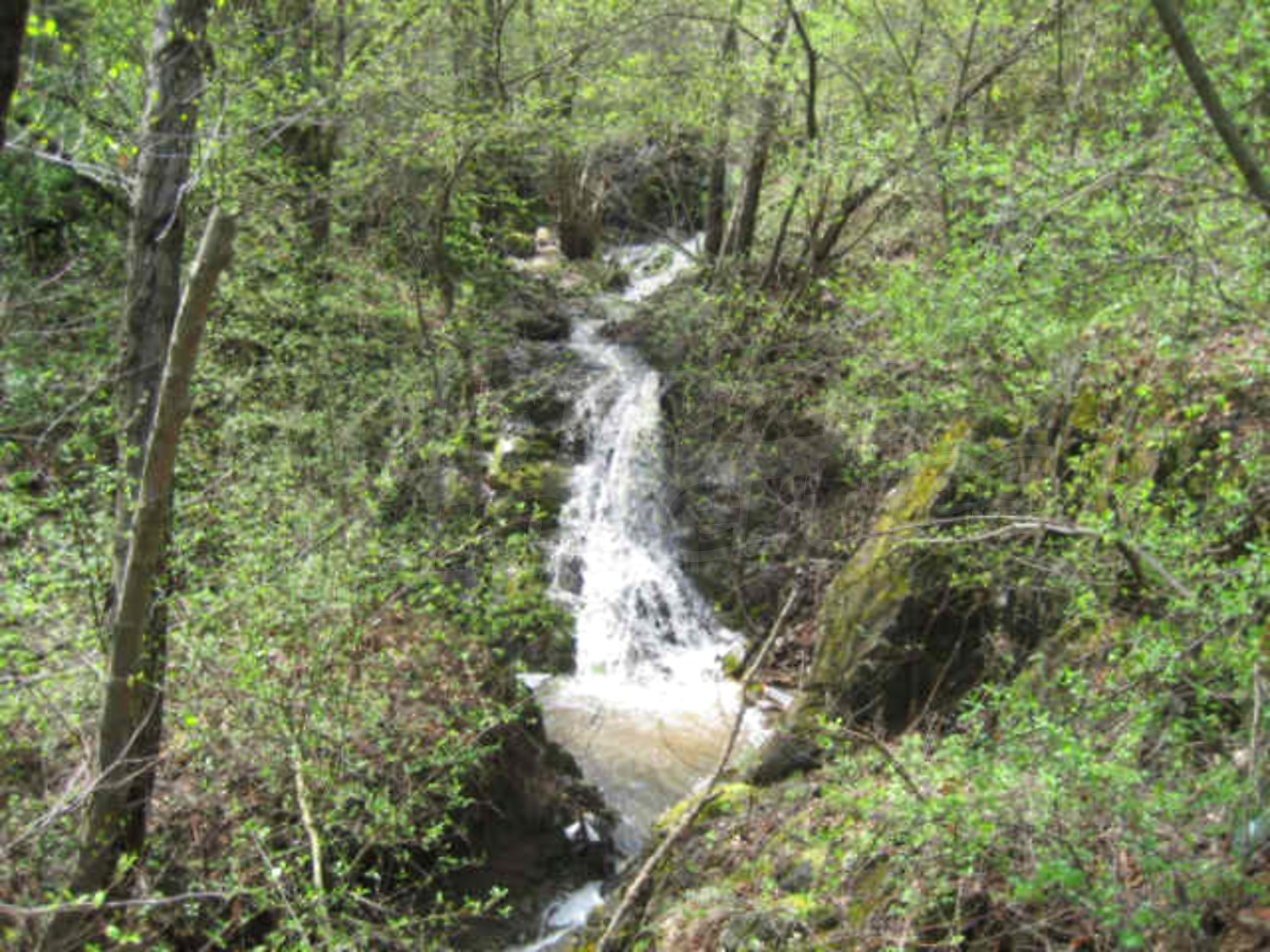 Gallery Picture 13