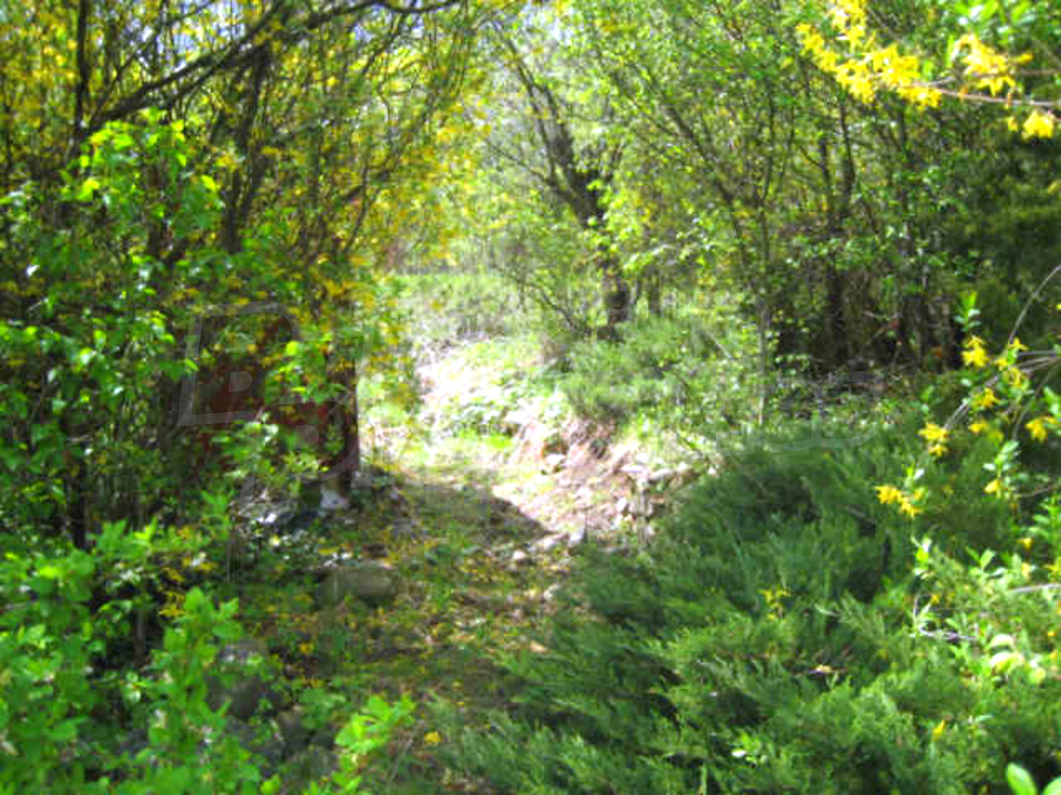 Gallery Picture 14