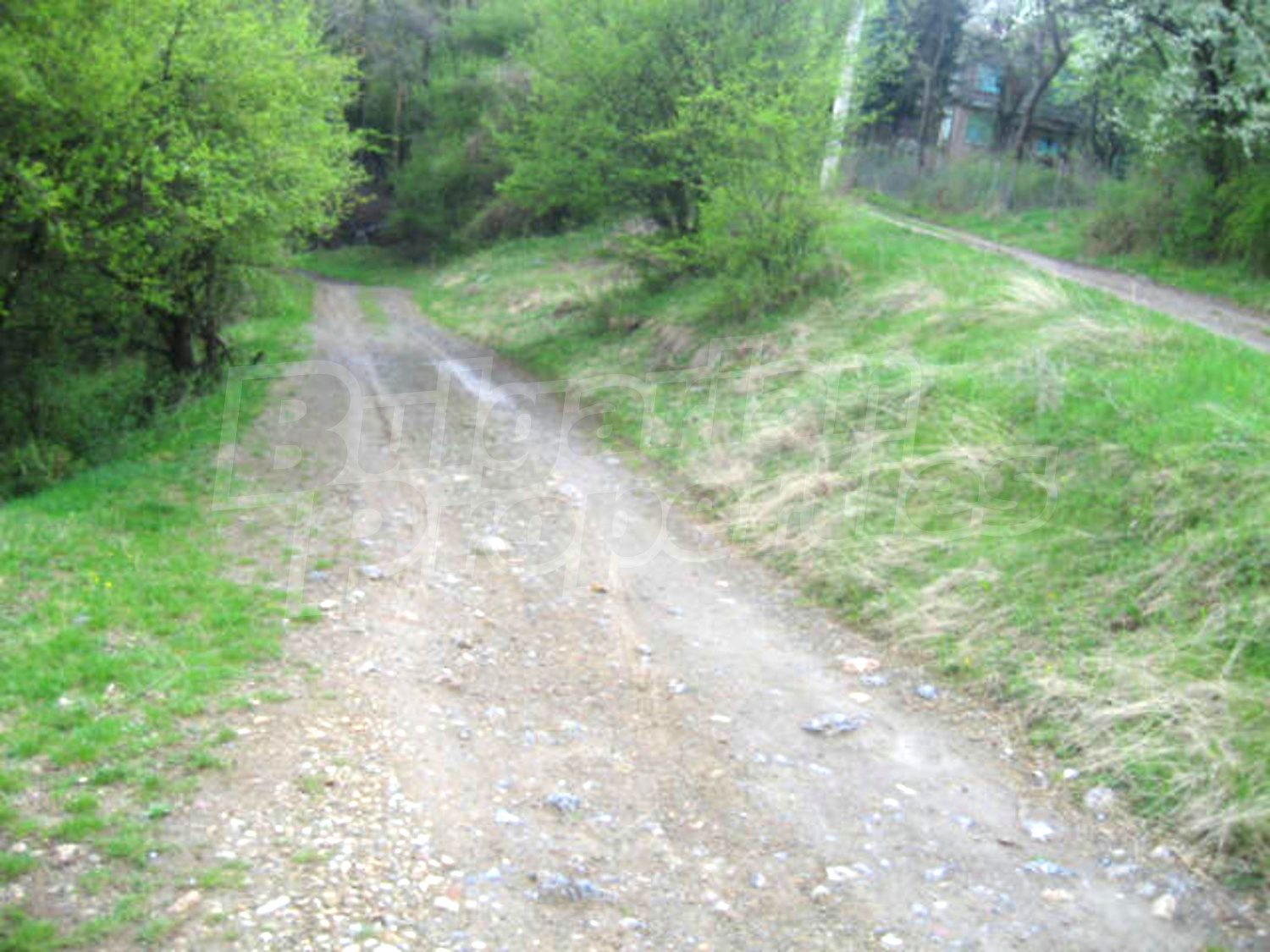 Gallery Picture 15