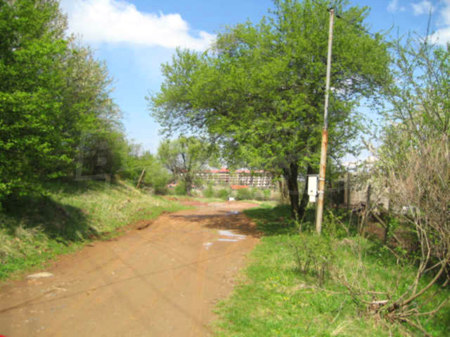 Gallery Picture 16