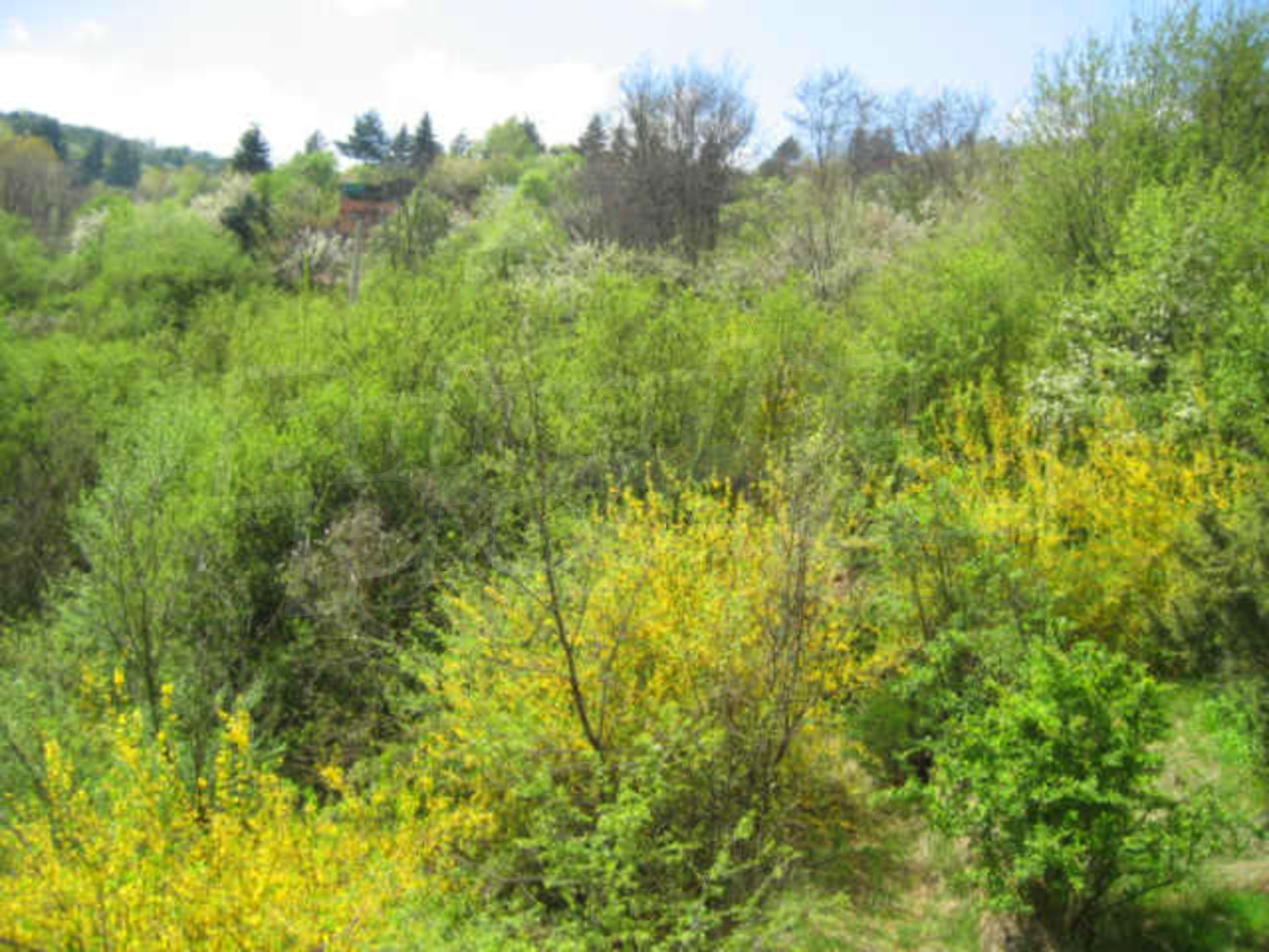 Gallery Picture 6