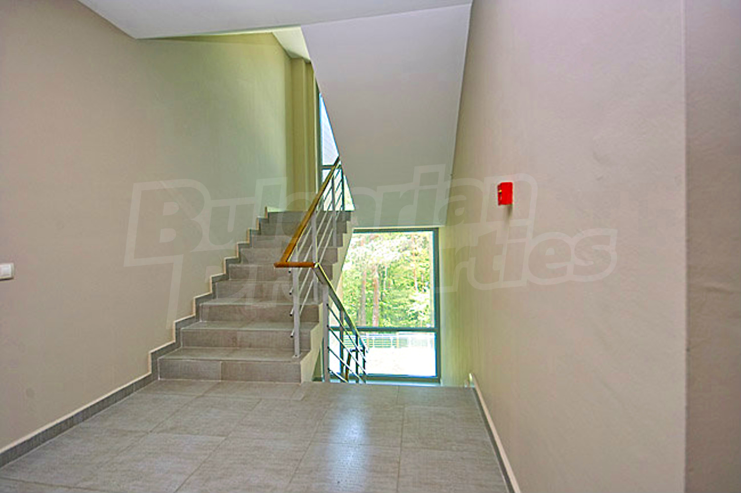Gallery Picture 29