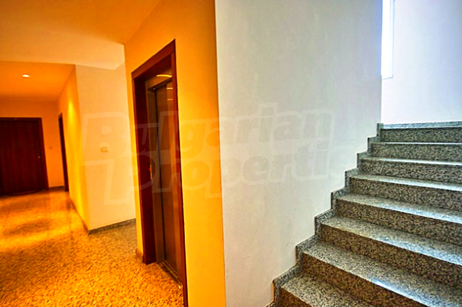 Gallery Picture 30