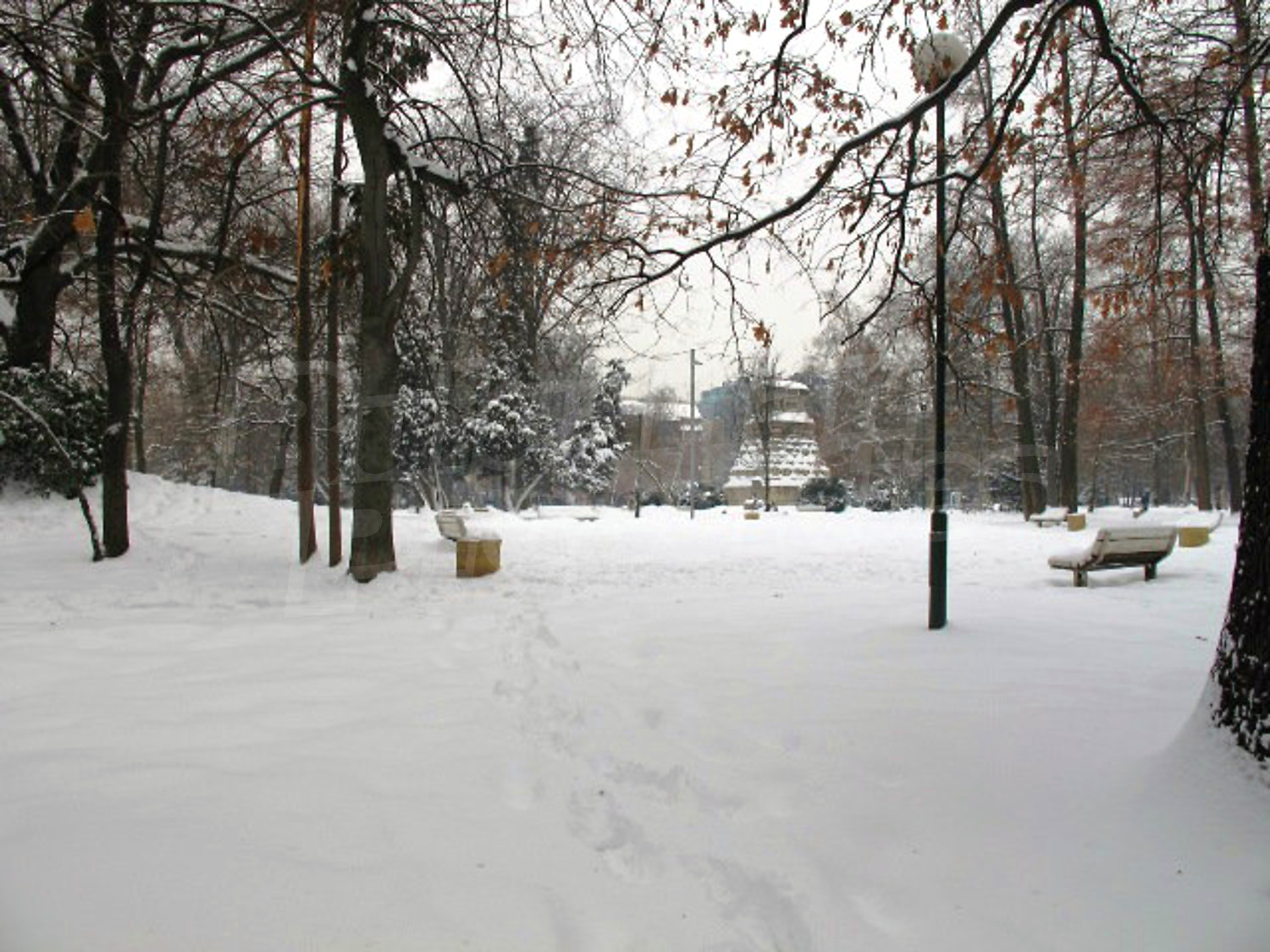 Gallery Picture 10