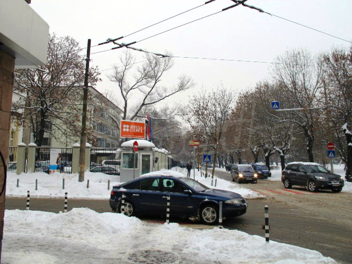 Gallery Picture 11