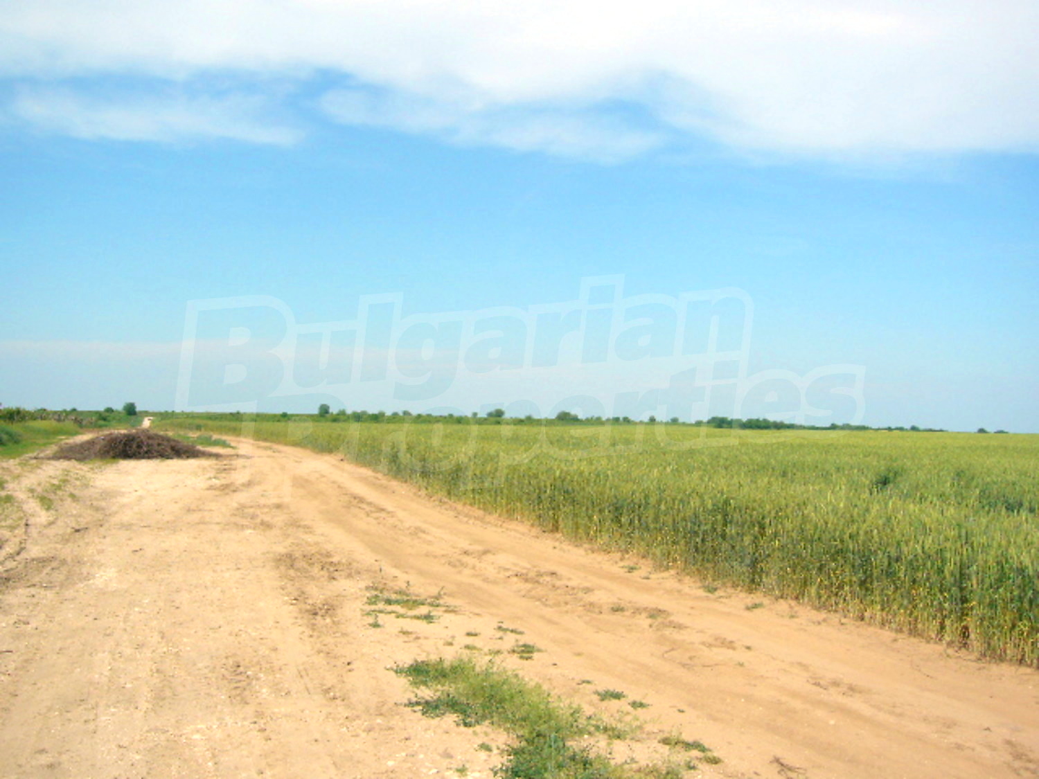 Gallery Picture 6